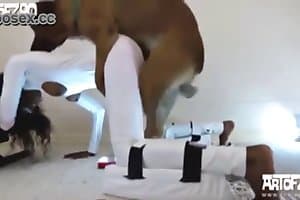 teen,zoo fuck